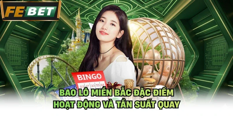 Bao lô miền bắc đặc điểm hoạt động và tần suất quay