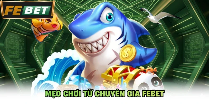 Mẹo Chơi Từ Chuyên Gia Febet