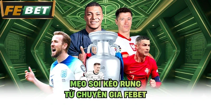 Mẹo soi kèo rung từ chuyên gia Febet