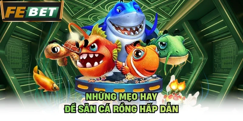 Những mẹo hay để săn cá Rồng hấp dẫn